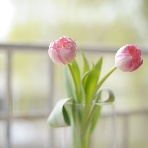 0323-01.jpg