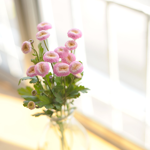 0419-05.jpg