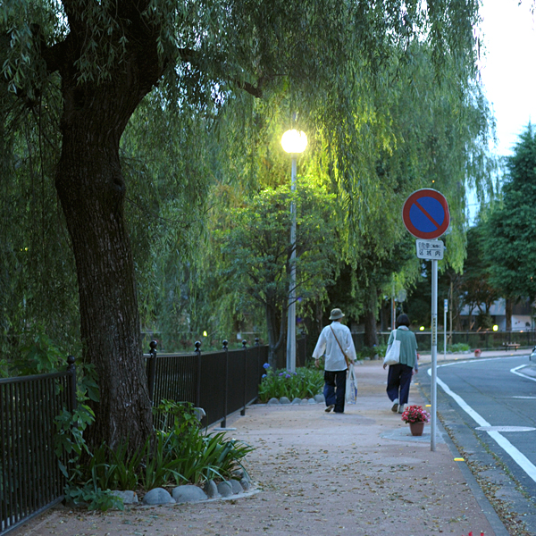 0617-07.jpg