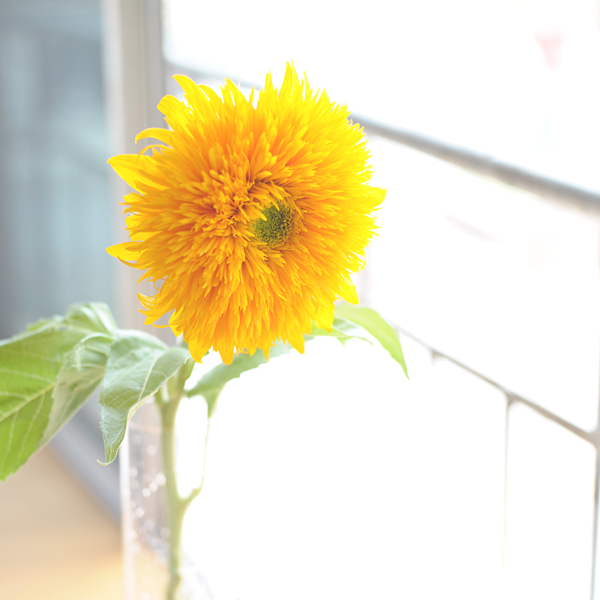 0727-01.jpg