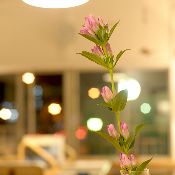 0907-07.jpg