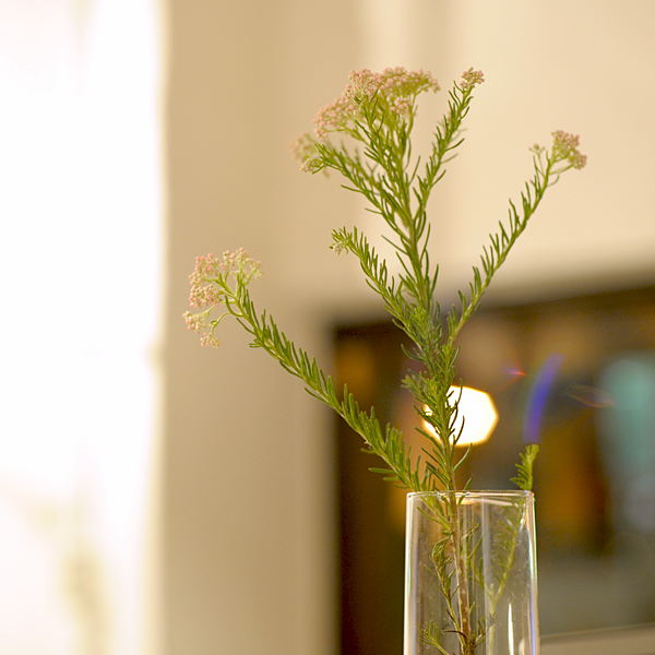 0921-04.jpg