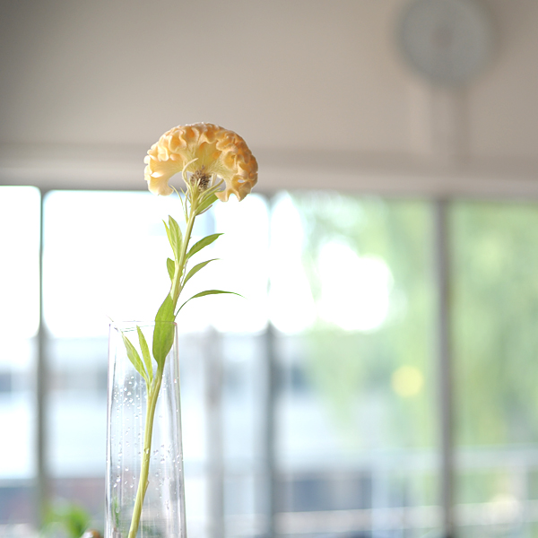 130809-05.jpg