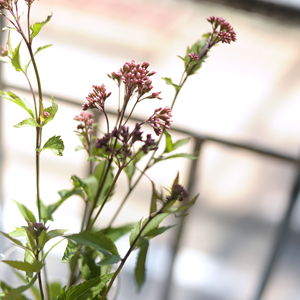 130920-04.jpg