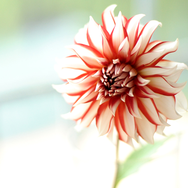 131115-07.jpg