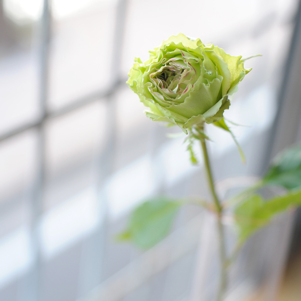 140207-02.jpg