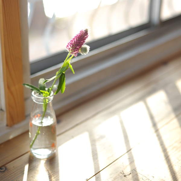 140207-04.jpg