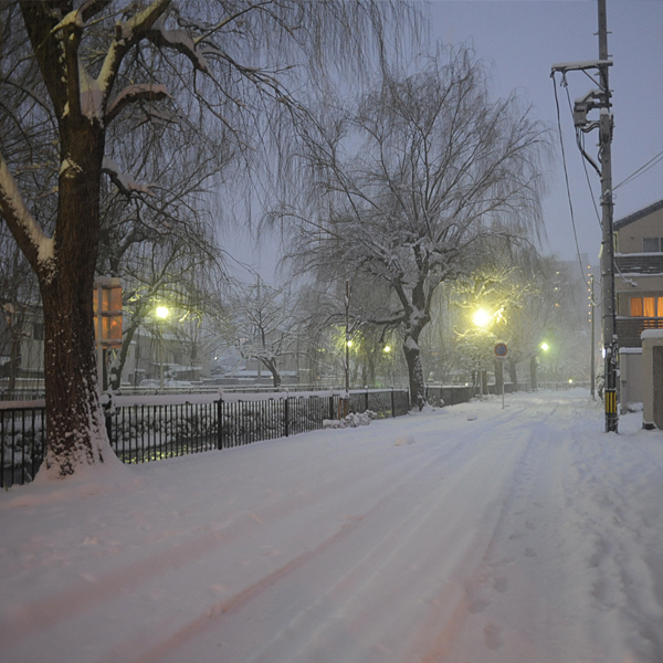140208-03.jpg