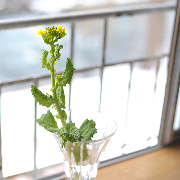 140214-01.jpg