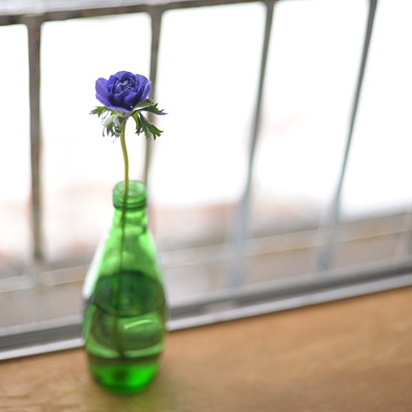 140214-04.jpg