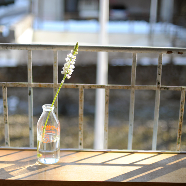 140221-01.jpg