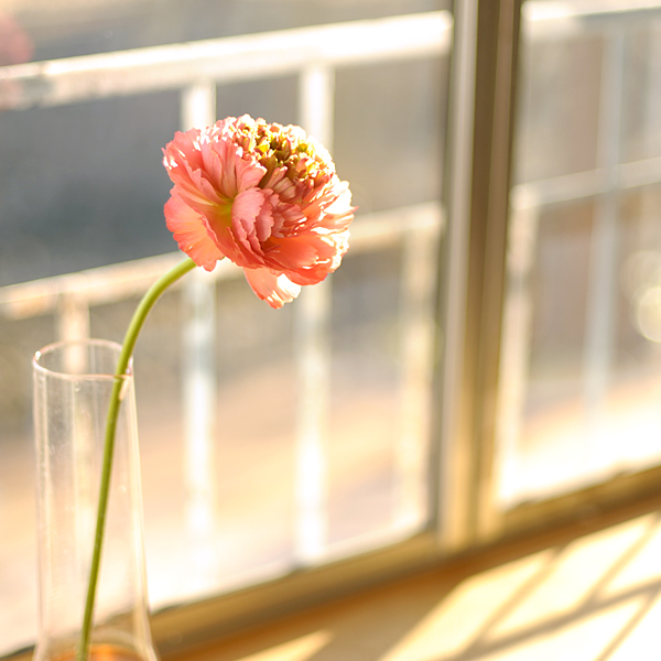 140303-03.jpg