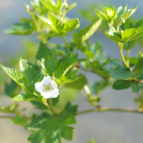 140407-02.jpg