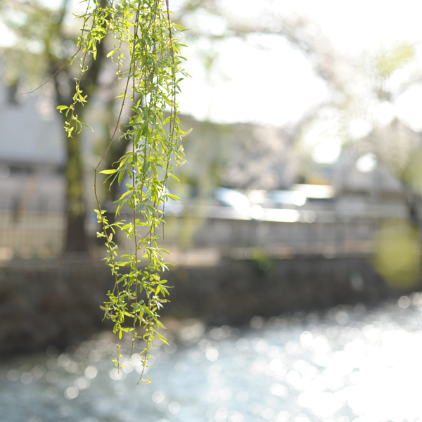 140407-03.jpg