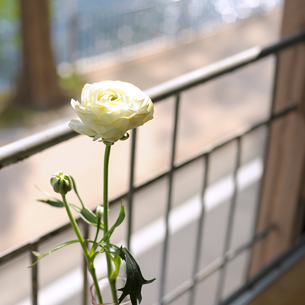 140411-01.jpg