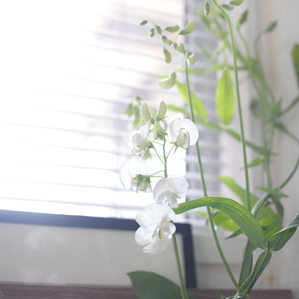 140411-03.jpg