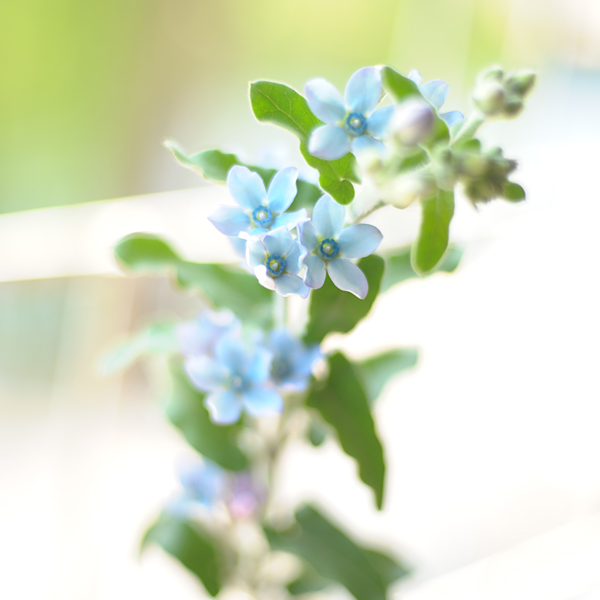 140425-03.jpg