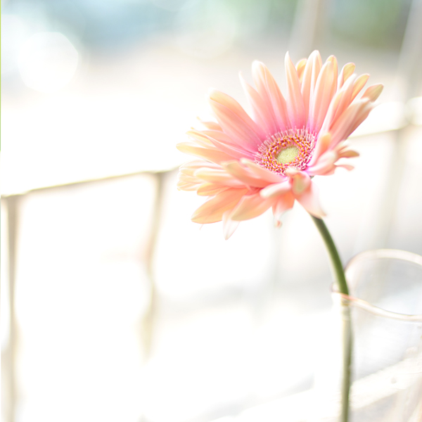 140425-04.jpg