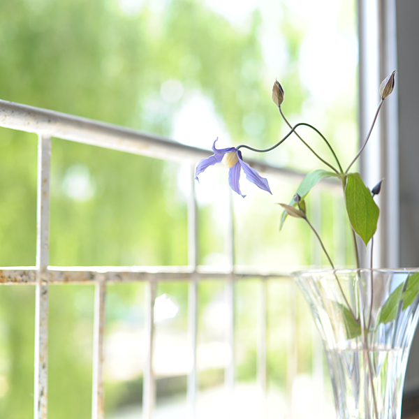 140502-02.jpg
