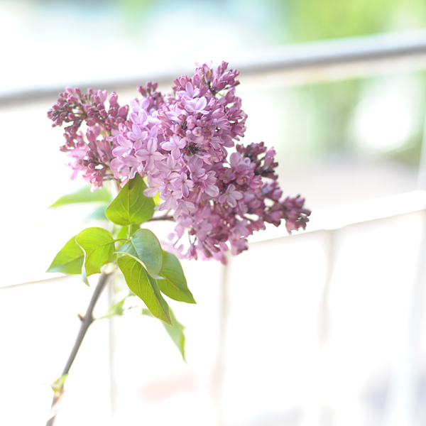 140502-03.jpg