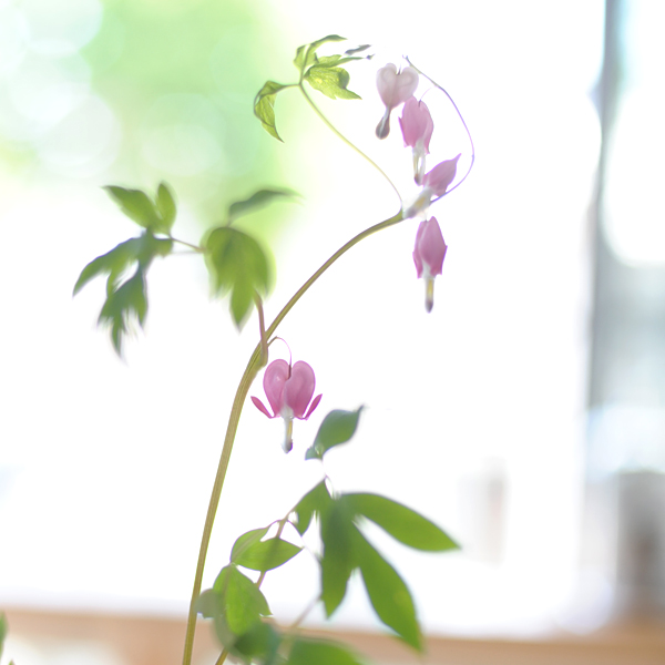 140502-05.jpg