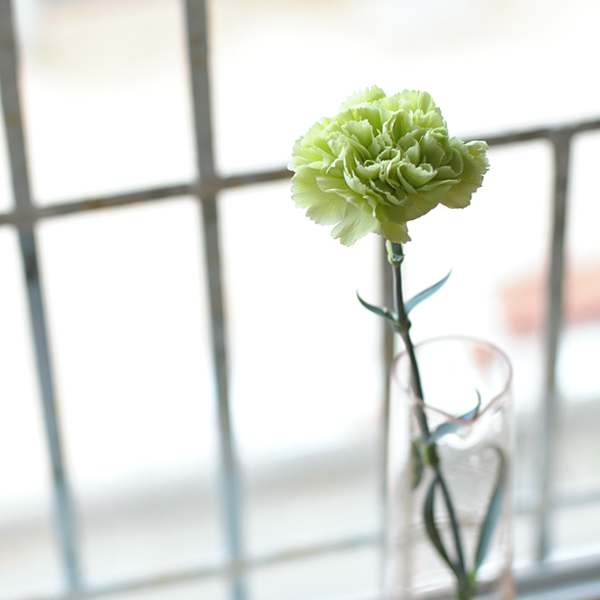 140509-04.jpg