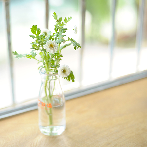 140523-03.jpg