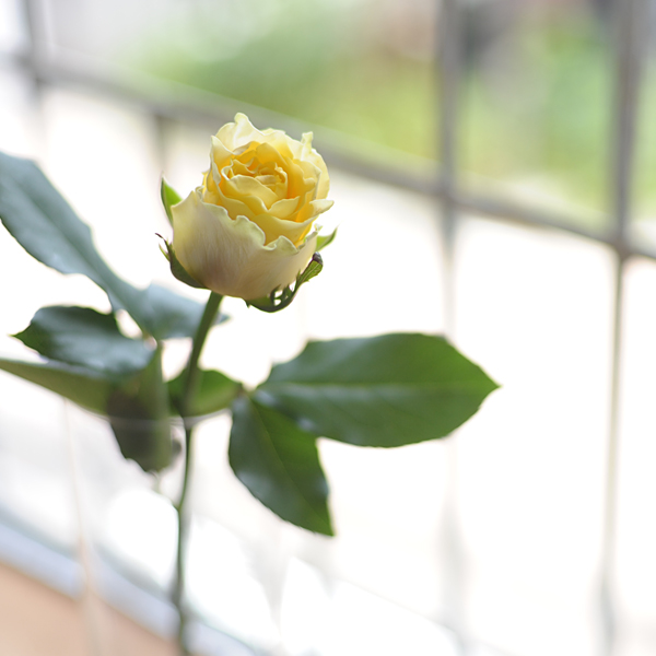 140530-03.jpg