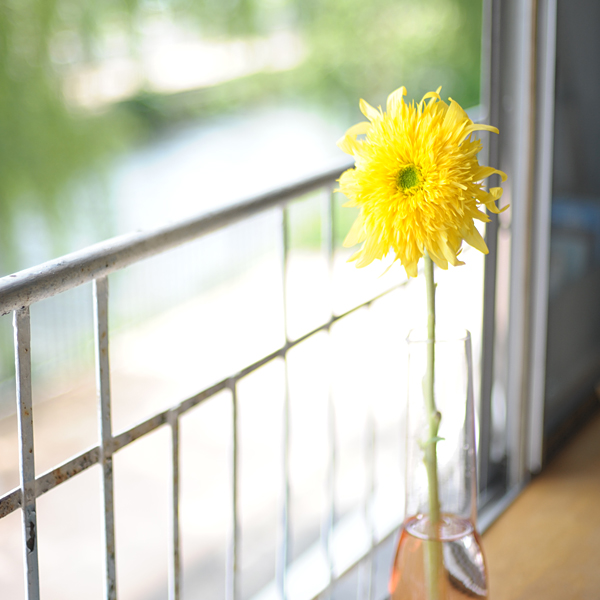 140530-08.jpg