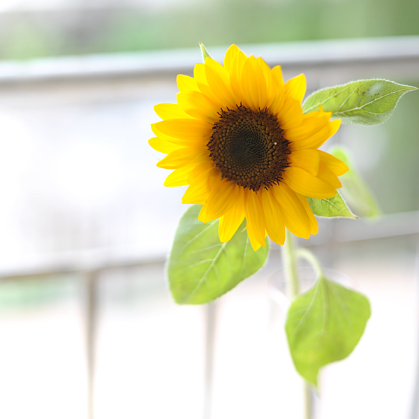 140627-01.jpg