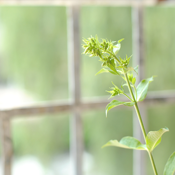 140711-04.jpg