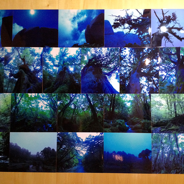 140804-02.jpg