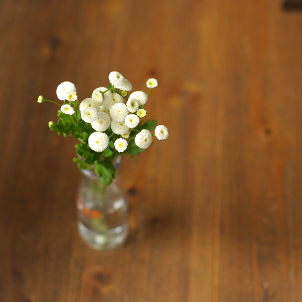 140809-02.jpg