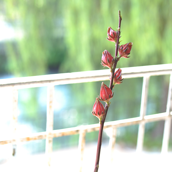 140822-05.jpg