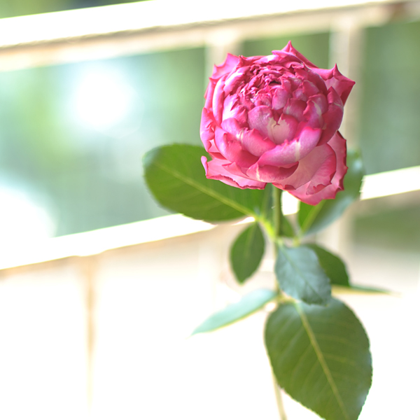 140822-07.jpg