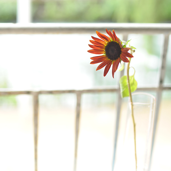 140829-010.jpg