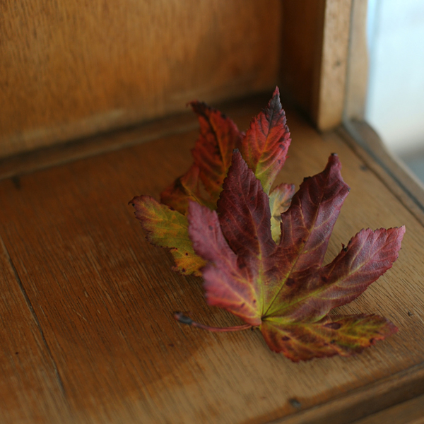 141017-05.jpg