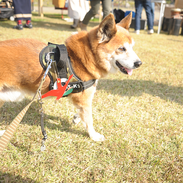 141026-024.jpg