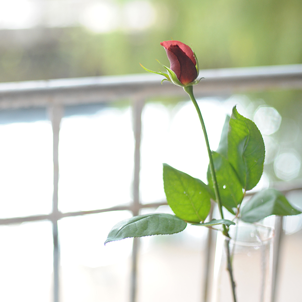 141206-05.jpg