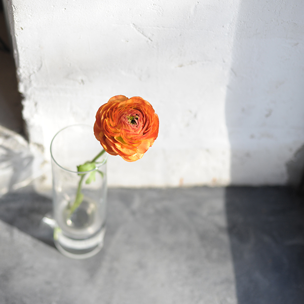 150206-04.jpg
