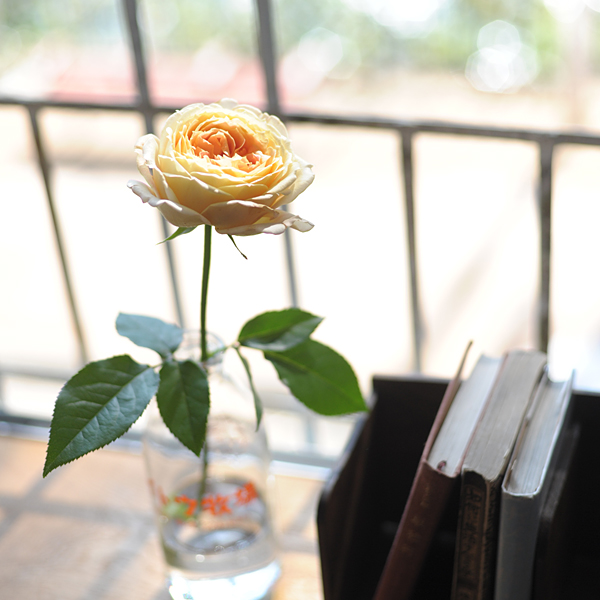 20141025-02.jpg