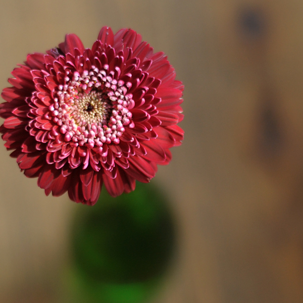 20141025-04.jpg