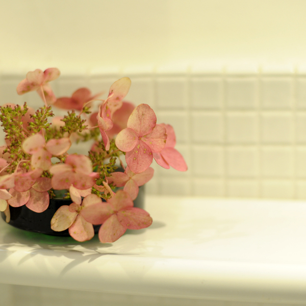 20141025-06.jpg